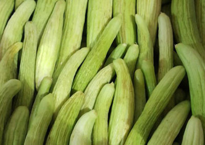 White Cucumbers (Fagus)